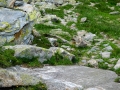 P1070088