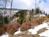 P1080261