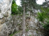 P1080440