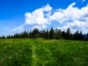 P1050506