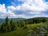 P1050511
