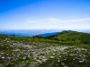 P1050567