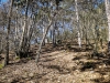 P1080099
