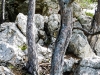 P1080479