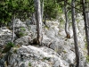 P1080486