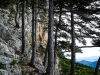 P1080487