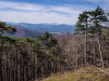 IMG_20210410_111015