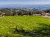 IMG_20190419_105328