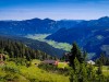 IMG_20200727_100605