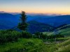 IMG_20200727_202943