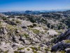 IMG_20200730_094519