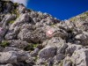 IMG_20200730_102119