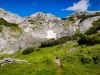 IMG_20200730_103851