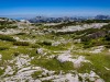 IMG_20200730_105822