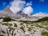 IMG_20200730_110707