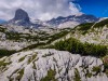 IMG_20200730_115506