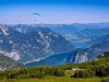 IMG_20200731_101904