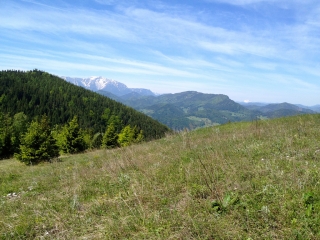 Die klassische Aussicht vor Erreichen des Waldeggerhauses.