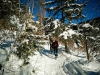IMG_20170120_110922