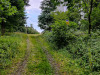 IMG_20220801_144627