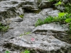 180616_0001