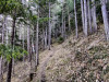 IMG_20220104_110301