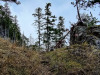 IMG_20220104_112543