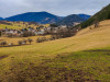 IMG_20220104_125929