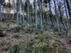 IMG_20221031_102559