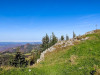 IMG_20221031_110012