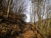 P1060517.jpg