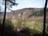P1060518.jpg