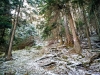 IMG_20170219_103623