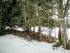 IMG_20170219_115845