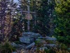 IMG_20191021_123726