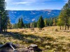IMG_20191021_125213