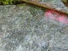 IMG_20191021_130823
