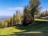 IMG_20191021_132436