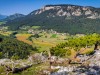 IMG_20200920_105752