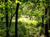 IMG_20200920_121851