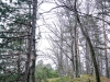 P1070711