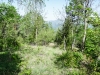 P1100044