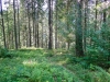 P1100728