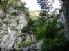 P1060230