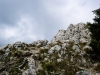 P1060264