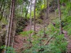IMG_20200606_094513