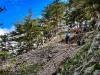 IMG_20200606_105257
