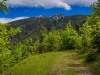 IMG_20200606_111825