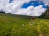 IMG_20200606_141037