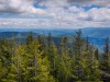 IMG_20200606_143025